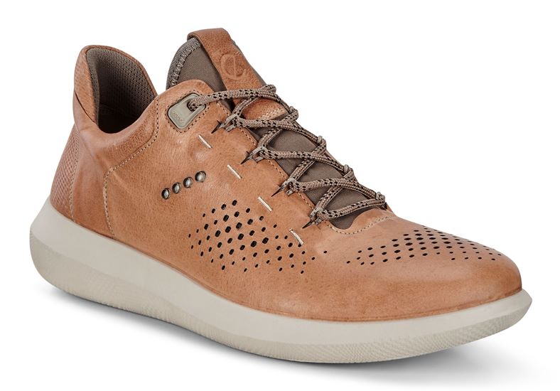 SCINAPSE MEN'S (Brown)