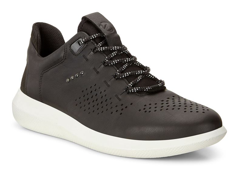 SCINAPSE MEN'S (Black)