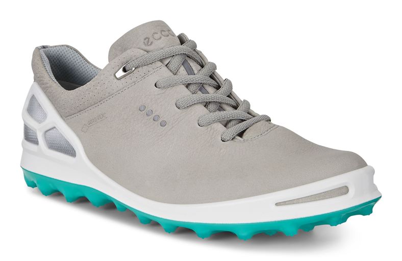  W Golf Cage Pro (طوسی)
