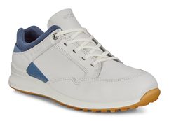  W Golf Street Retro