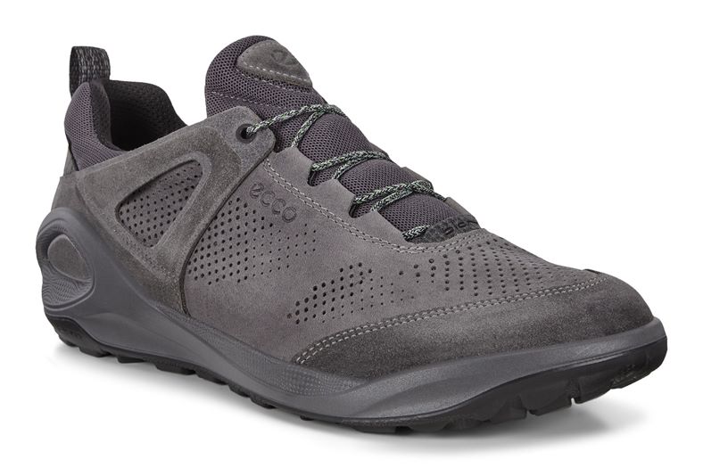  Biom 2go (Cinzento)