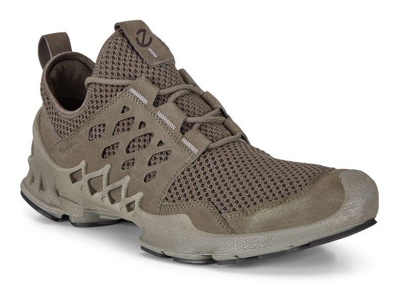  Biom Aex M (Castanho)