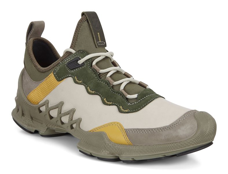  Biom Aex M