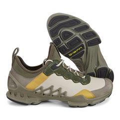  Biom Aex M