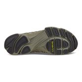  Biom Aex M