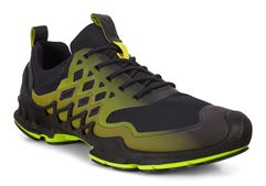 BIOM AEX M