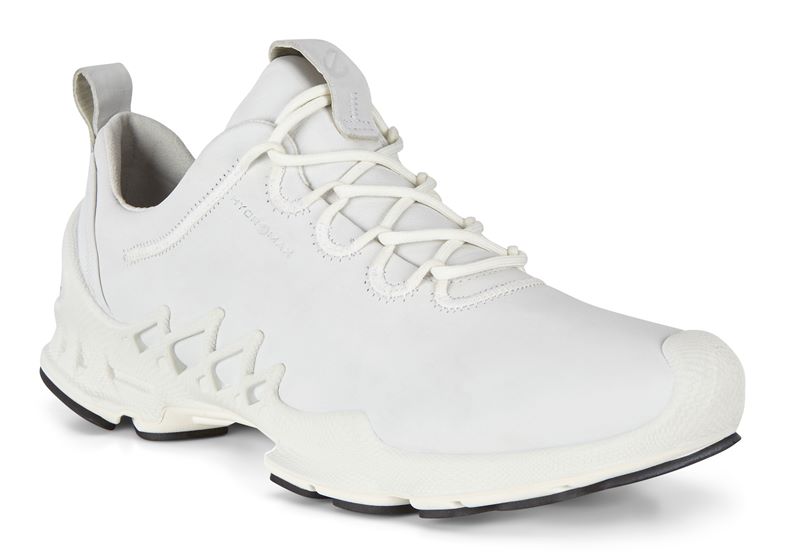 BIOM AEX M (Branco)