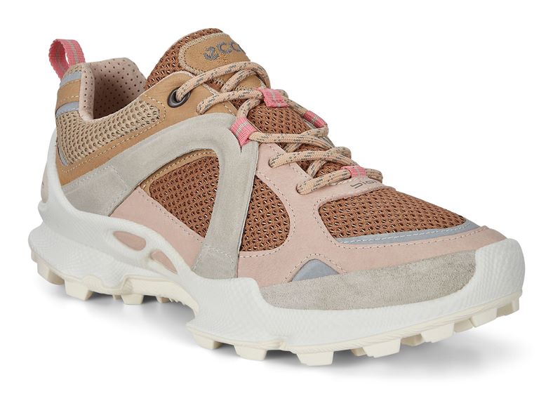 Biom C-trail W