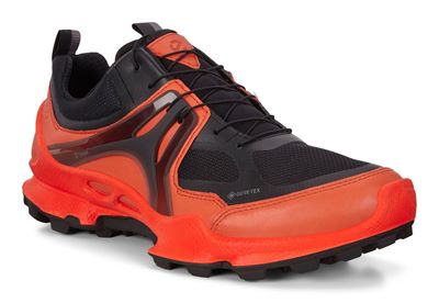 BIOM C-TRAIL M