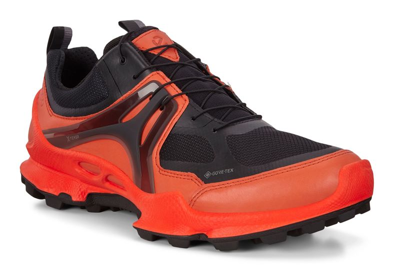 BIOM C-TRAIL M (Vermelho)