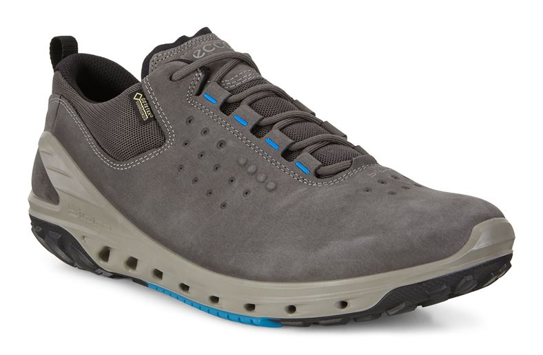  Biom Venture M (Cinzento)