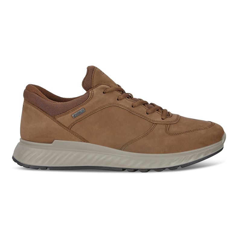 EXOSTRIDE M (Castanho)