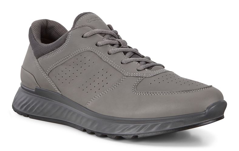 EXOSTRIDE M (Cinzento)