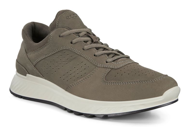  Exostride M (Cinzento)