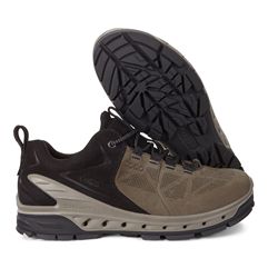 BIOM VENTURE TR M