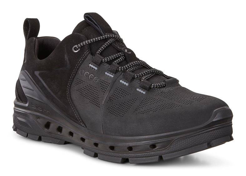 BIOM VENTURE TR M
