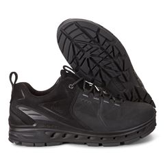 BIOM VENTURE TR M