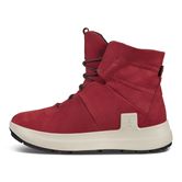  Solice (Vermelho)