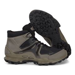  Biom C-trail M