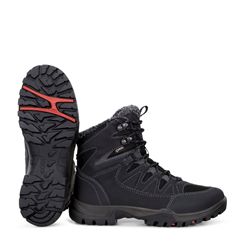  Xpedition III W