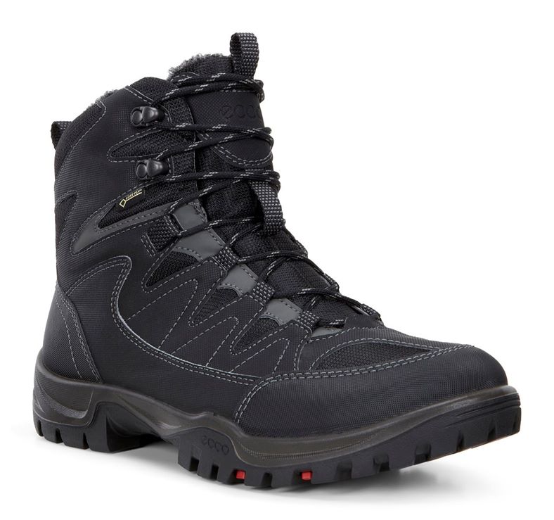  Xpedition III M (Preto)