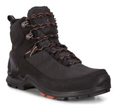  Biom Terrain W