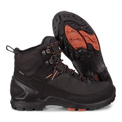  Biom Terrain W