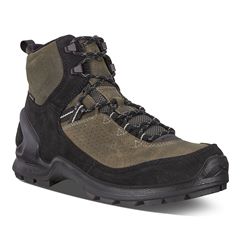  Biom Terrain M