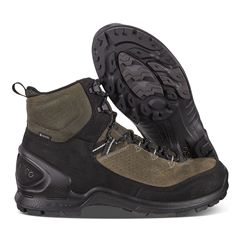  Biom Terrain M