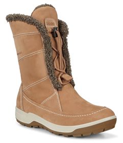  Trace Lite