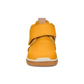 CREPETRAY MINI