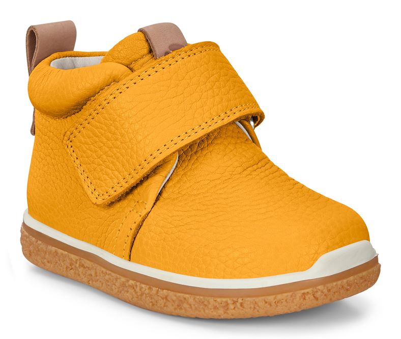 CREPETRAY MINI