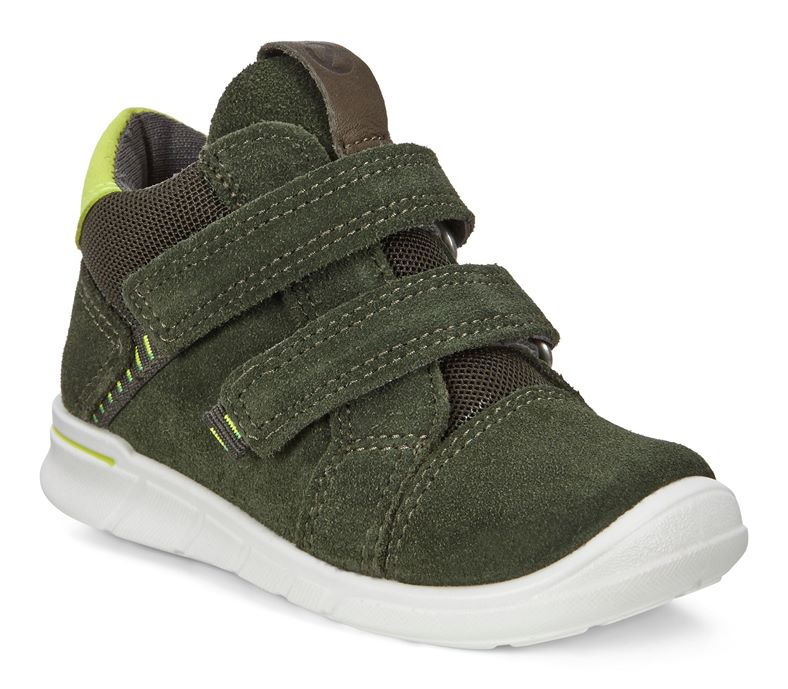 FIRST (Verde)