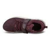  Intervene (Roxo)