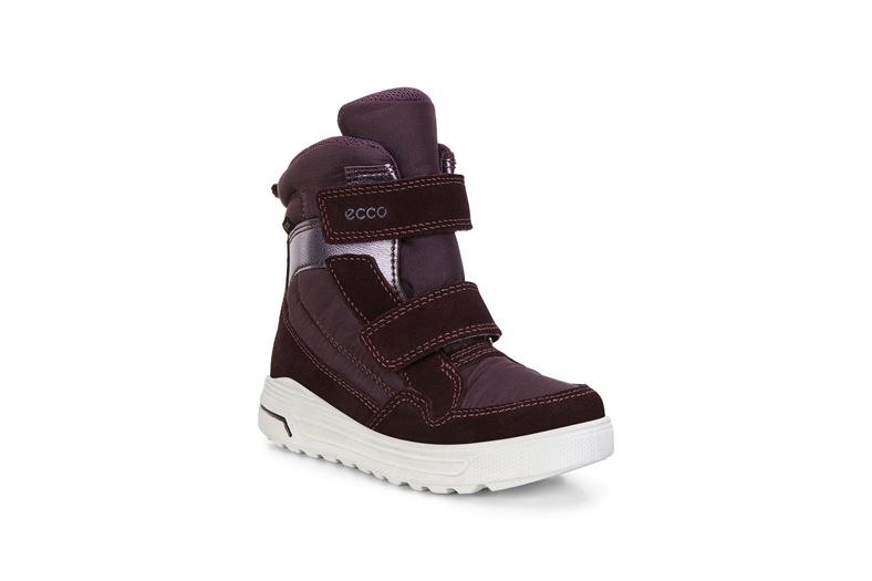  Urban Snowboarder (Roxo)