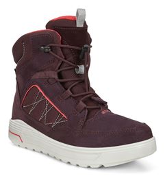  Urban Snowboarder