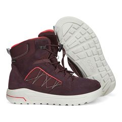  Urban Snowboarder