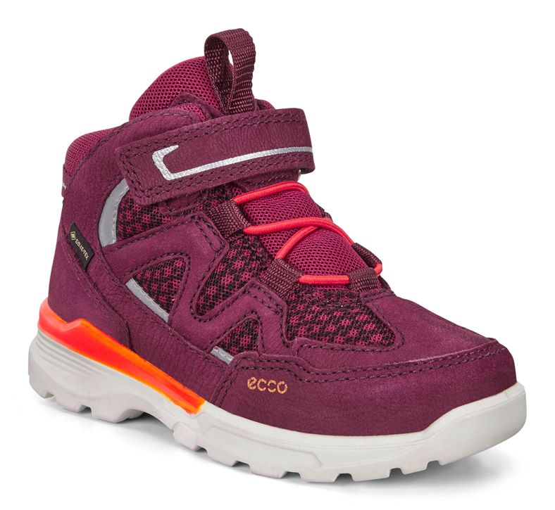 URBAN HIKER (Roxo)