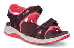  X-trinsic K