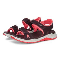  X-trinsic K