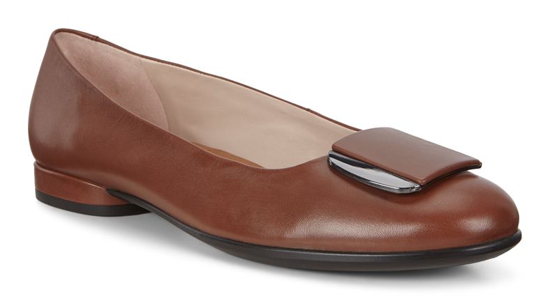 ANINE (Castanho)