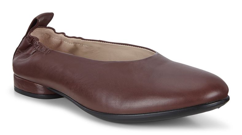  Anine (Castanho)