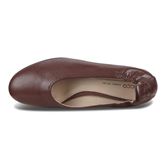  Anine (Castanho)