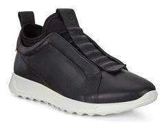  Flexure Runner W