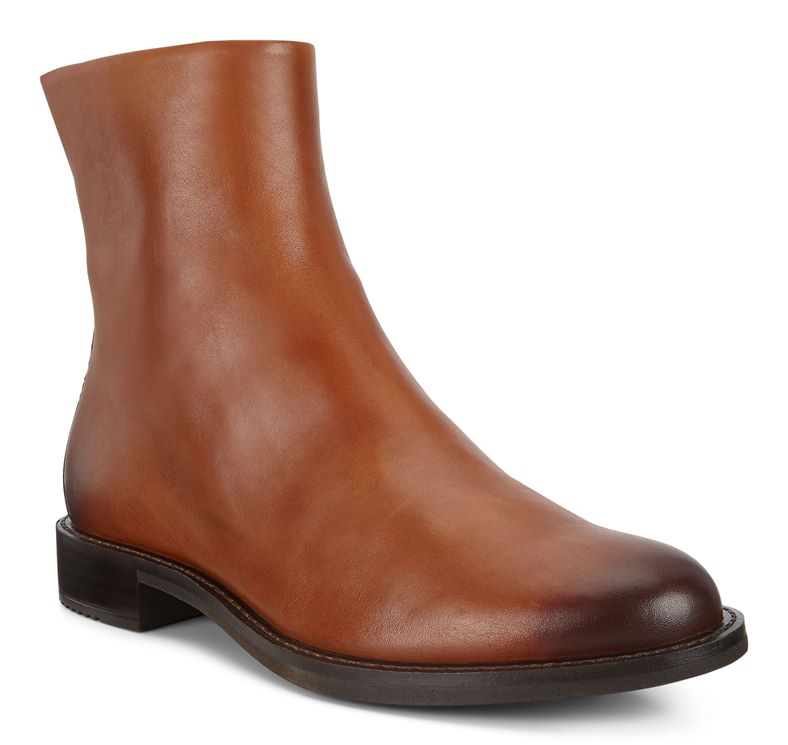  Sartorelle 25 (Castanho)