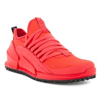  Biom 2.0 W