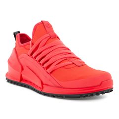  Biom 2.0 W