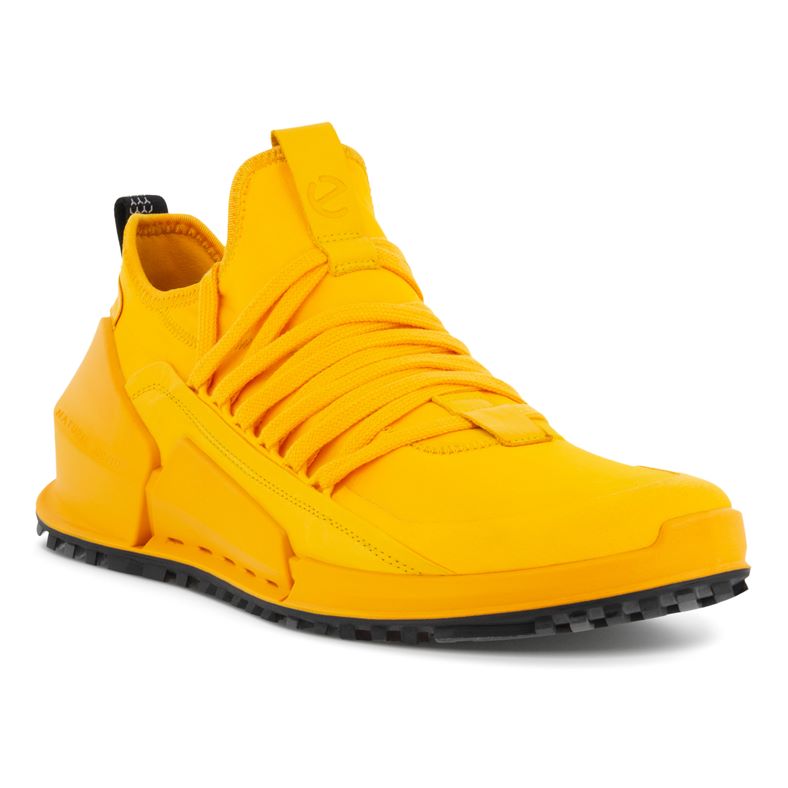  Biom 2.0 M (برتقالي)