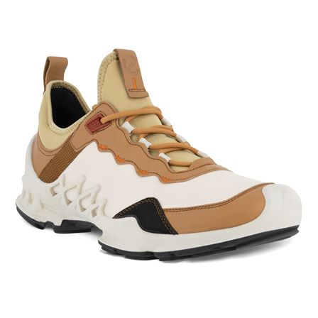  Biom Aex M