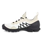  Biom Aex M